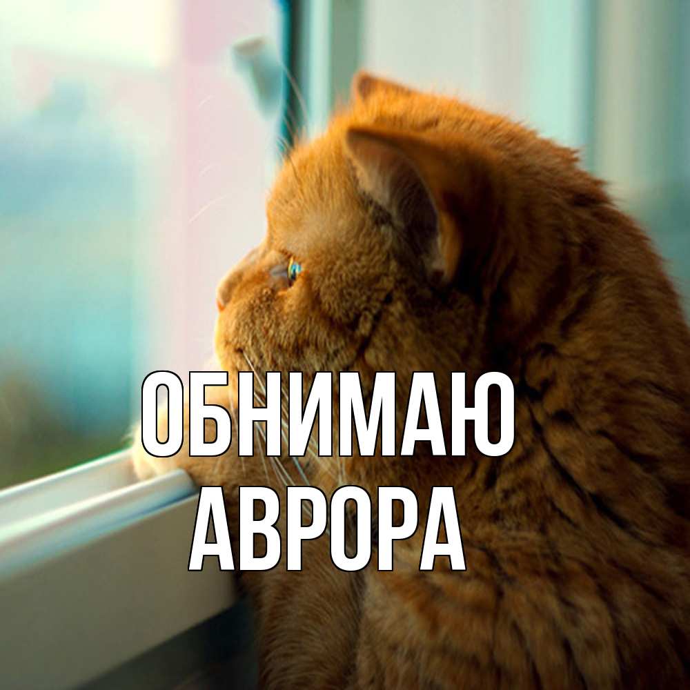 Открытка  с именем. Аврора, Обнимаю  