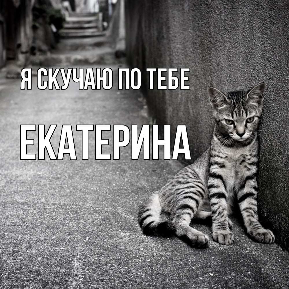 Открытка  с именем. Екатерина, Я скучаю по тебе  