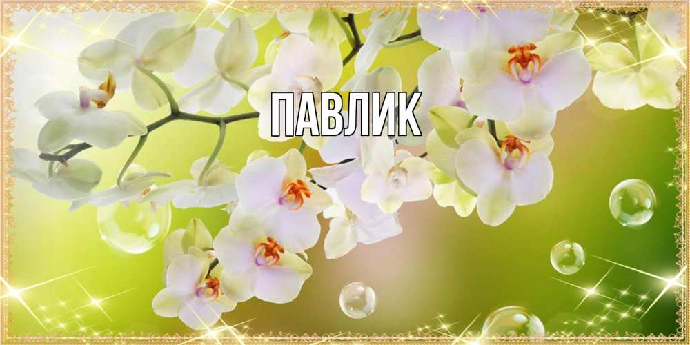 Открытка  с именем. Павлик, Главная  
