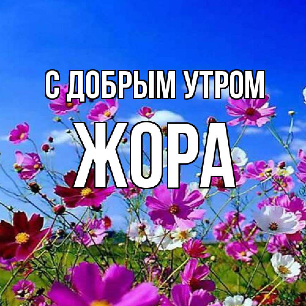 Открытка  с именем. Жора, С добрым утром  