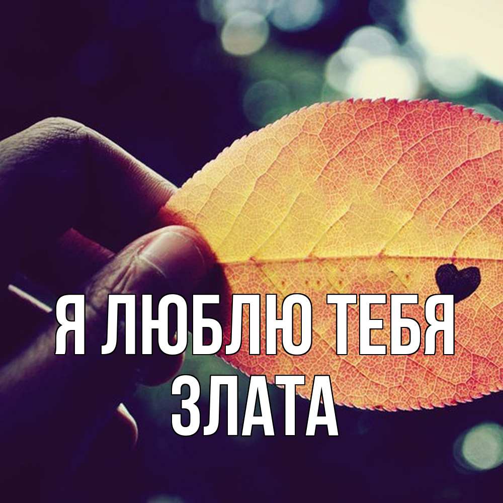 Открытка  с именем. Злата, Я люблю тебя  