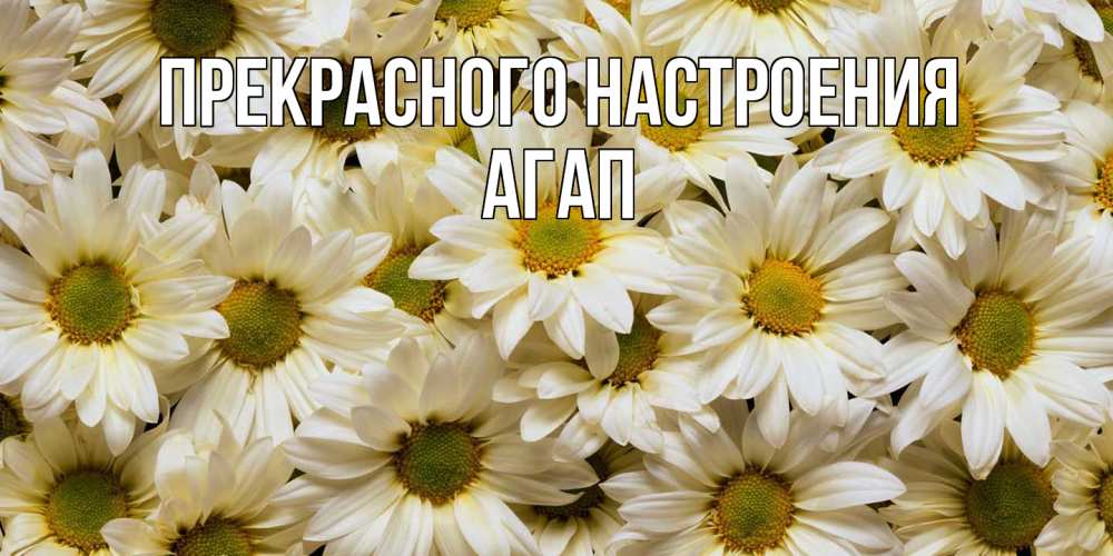 Открытка  с именем. Агап, Прекрасного настроения  