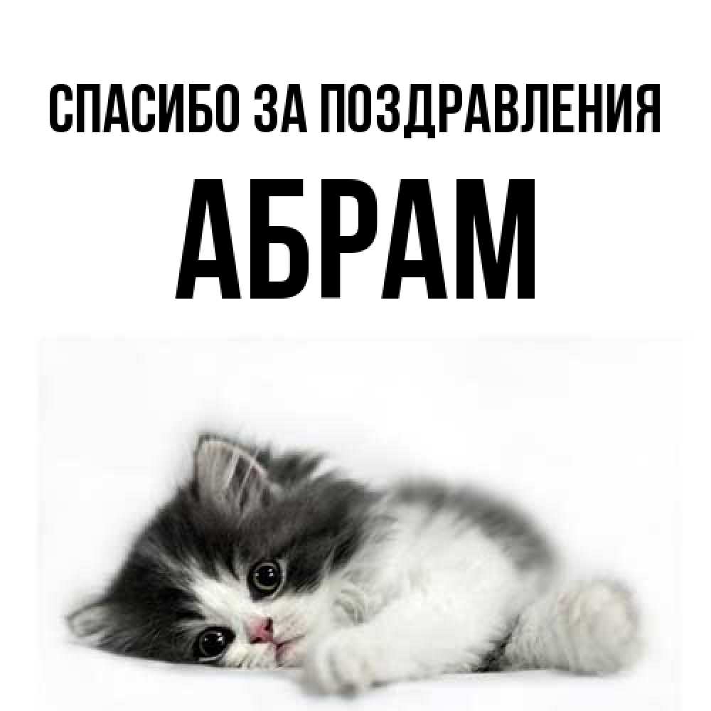 Открытка  с именем. Абрам, Спасибо за поздравления  