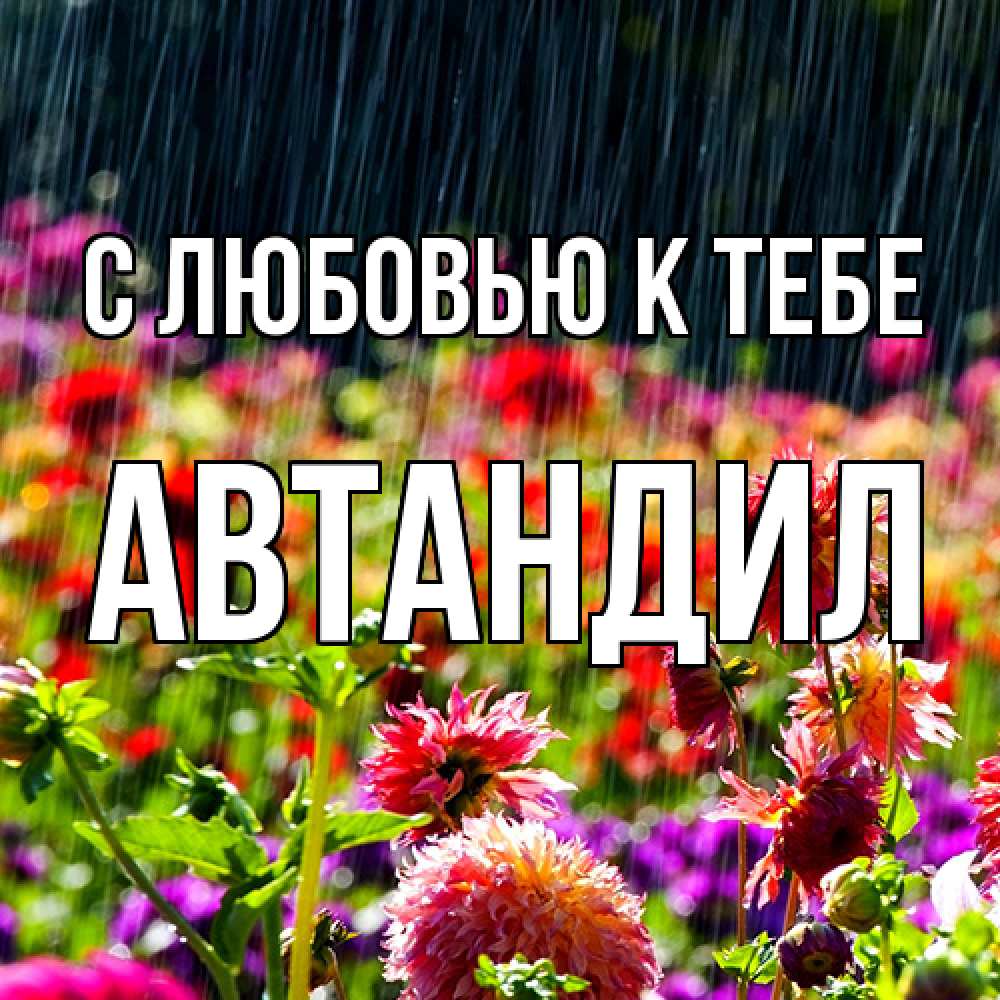 Открытка  с именем. Автандил, С любовью к тебе  