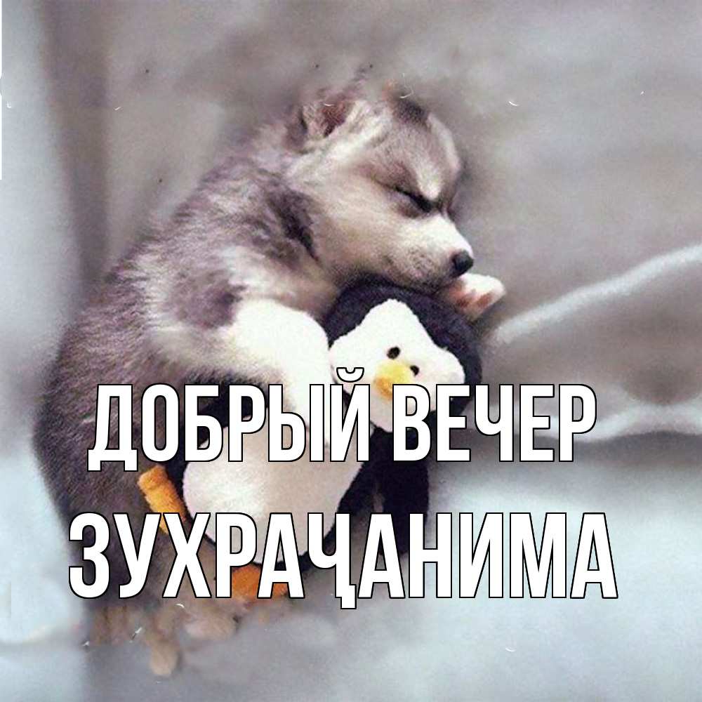 Открытка  с именем. Зухраҷанима, Добрый вечер  