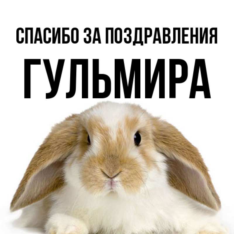 Картинка Спасибо за поздравления, Гульмира