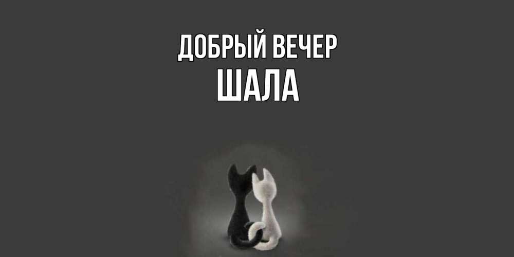 Открытка  с именем. Шала, Добрый вечер  