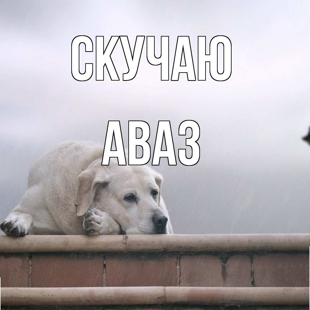 Открытка  с именем. Аваз, Скучаю  