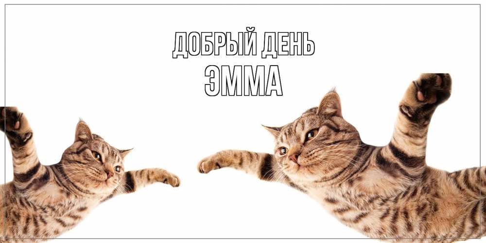 Открытка  с именем. Эмма, Добрый день  