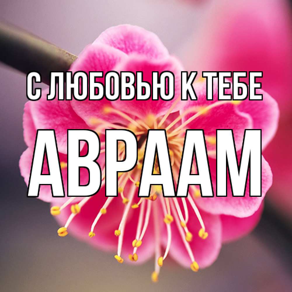 Открытка  с именем. Авраам, С любовью к тебе  