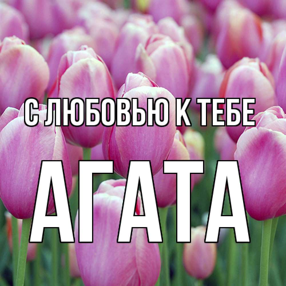 Открытка  с именем. Агата, С любовью к тебе  