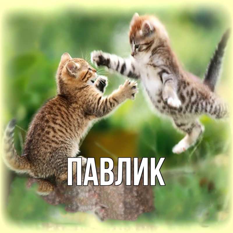 Картинка  с именем , Павлик