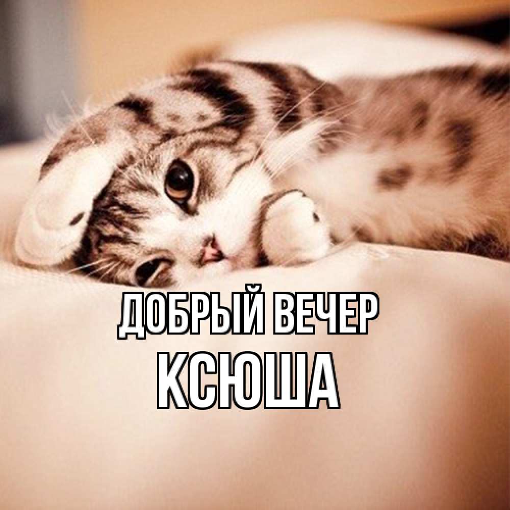 Открытка  с именем. Ксюша, Добрый вечер  