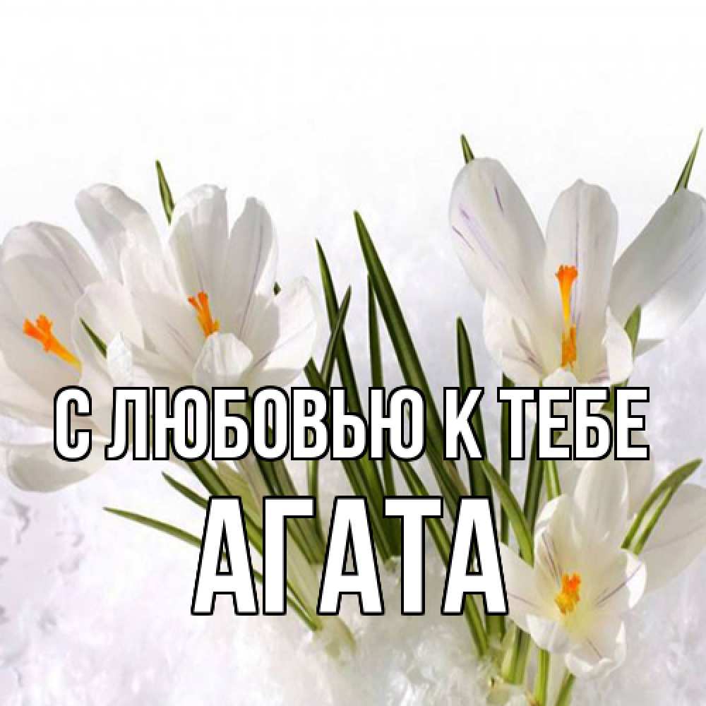 Открытка  с именем. Агата, С любовью к тебе  