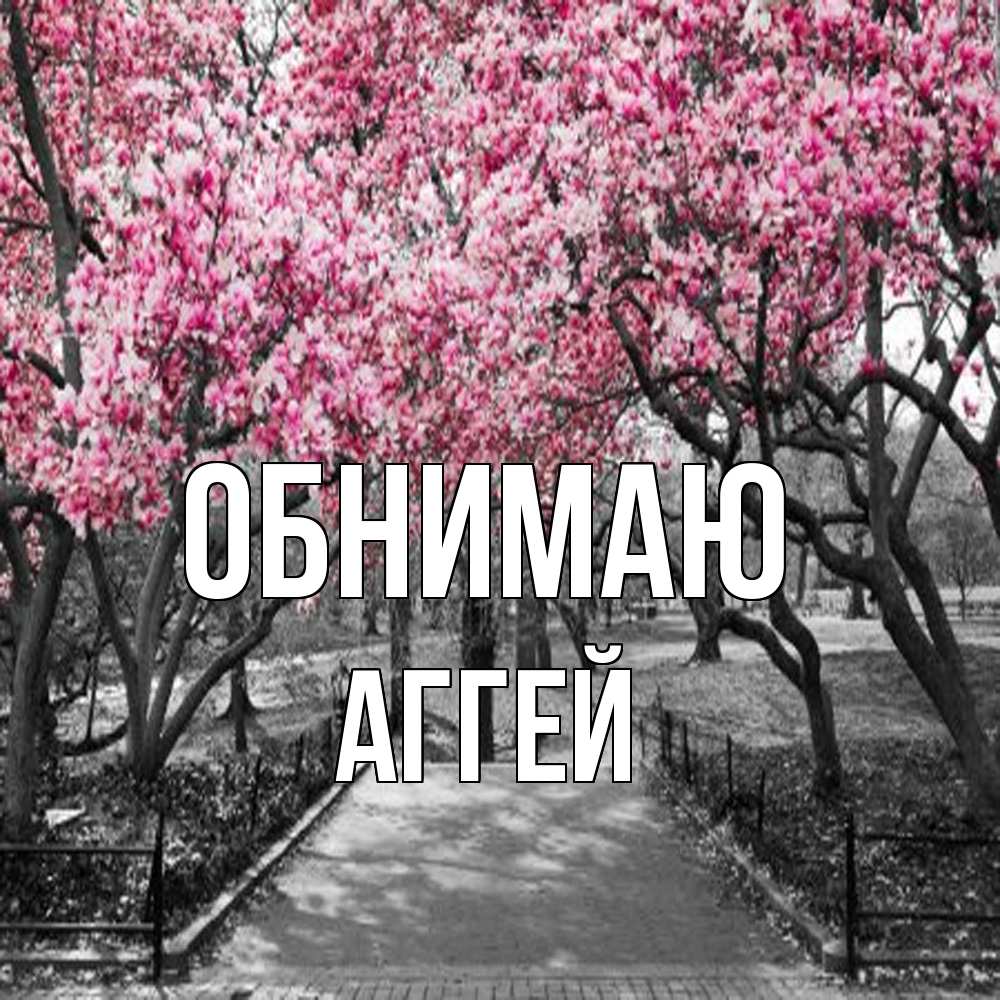 Открытка  с именем. Аггей, Обнимаю  