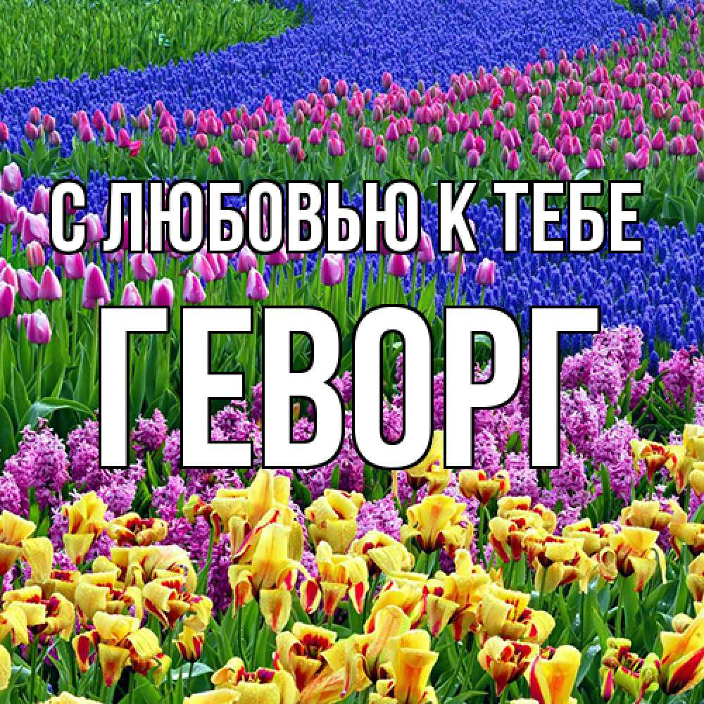 Открытка  с именем. Геворг, С любовью к тебе  