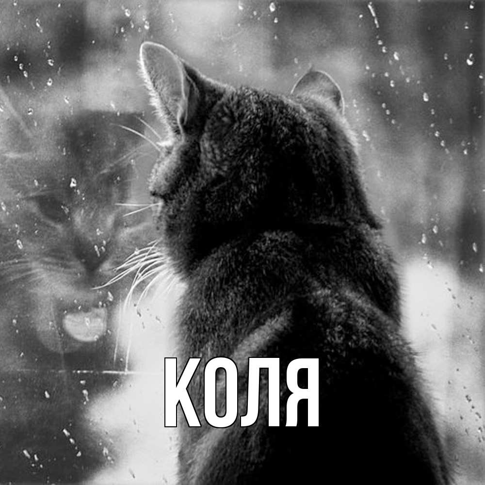 Открытка  с именем. коля, Главная  
