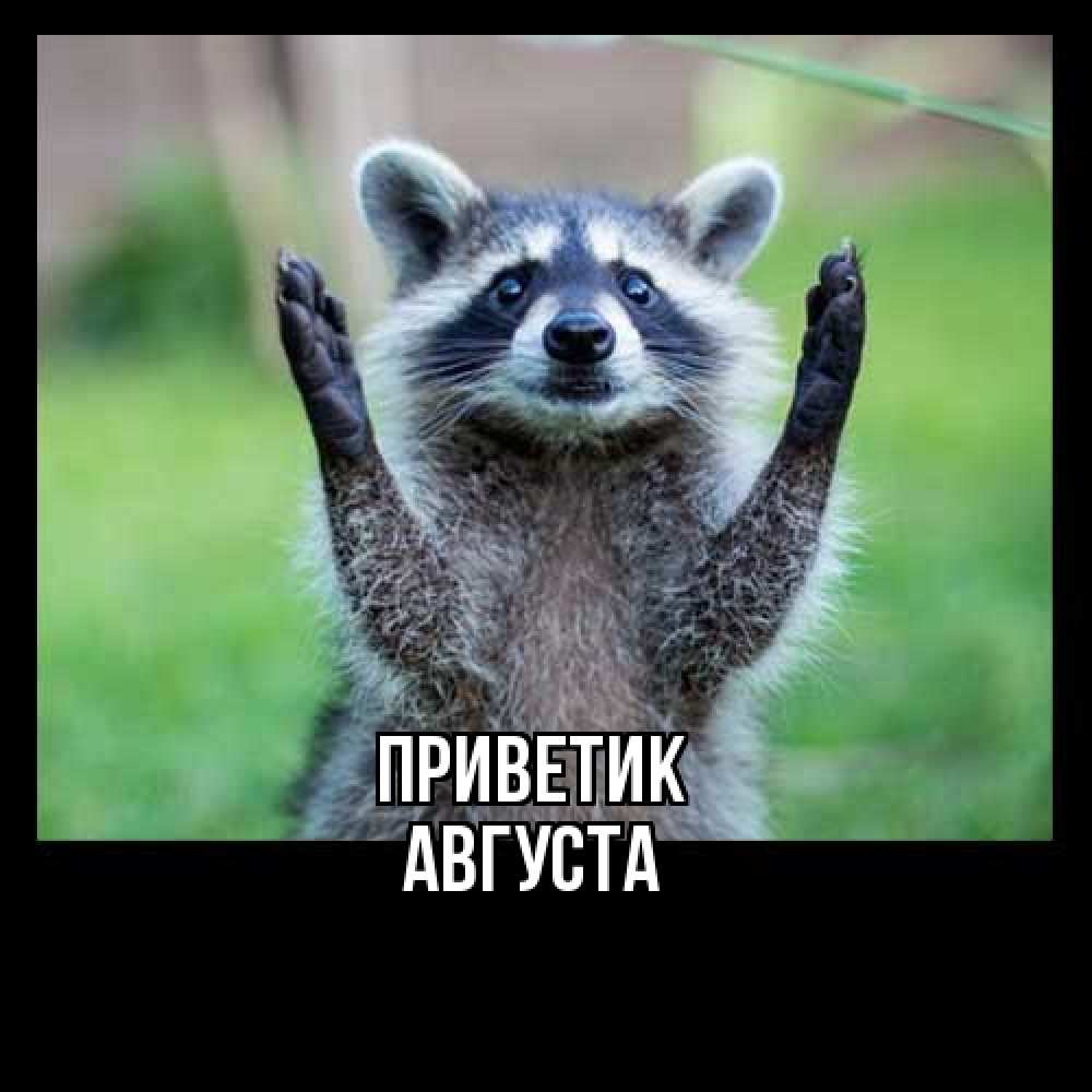 Открытка  с именем. Августа, приветик  