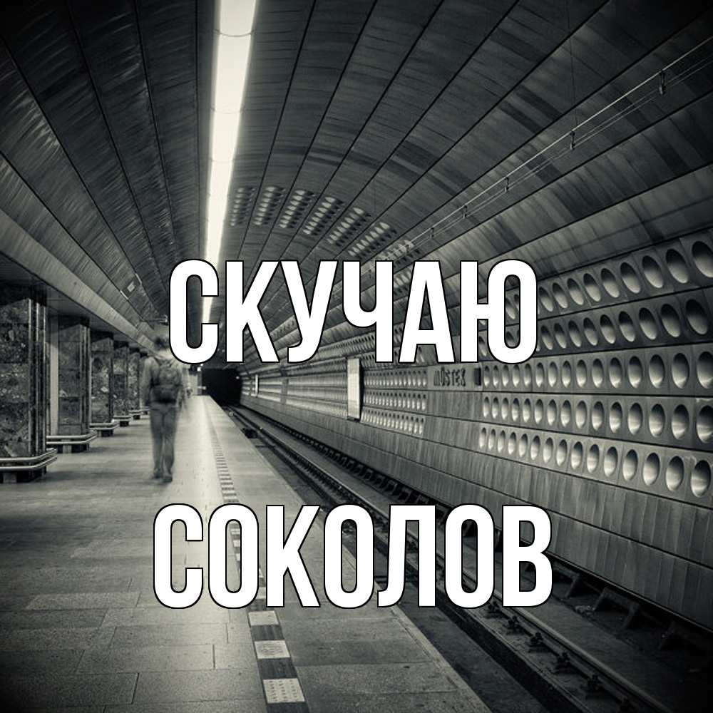 Открытка  с именем. Соколов, Скучаю  