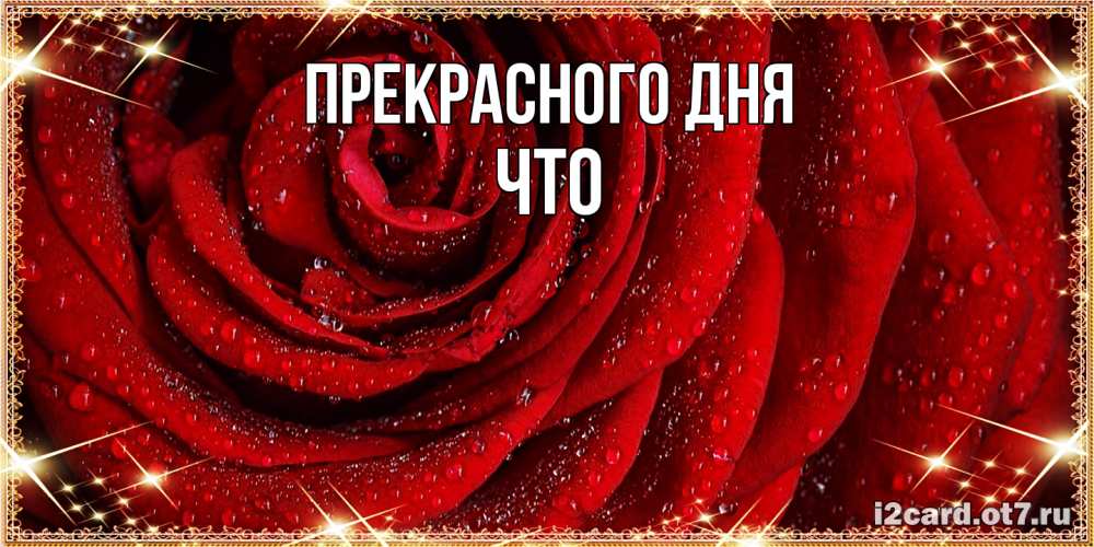 Открытка  с именем. Что, Прекрасного дня  