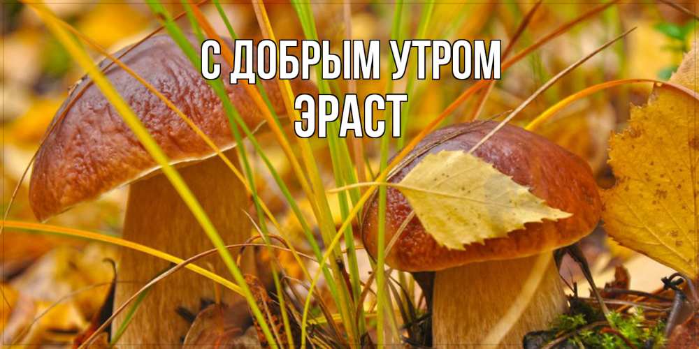 Открытка  с именем. Эраст, С добрым утром  