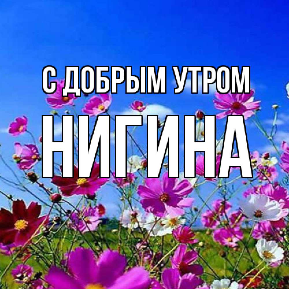 Открытка  с именем. Нигина, С добрым утром  