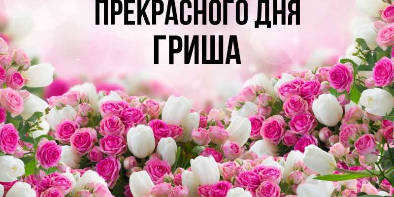 Картинка Прекрасного дня, Гриша