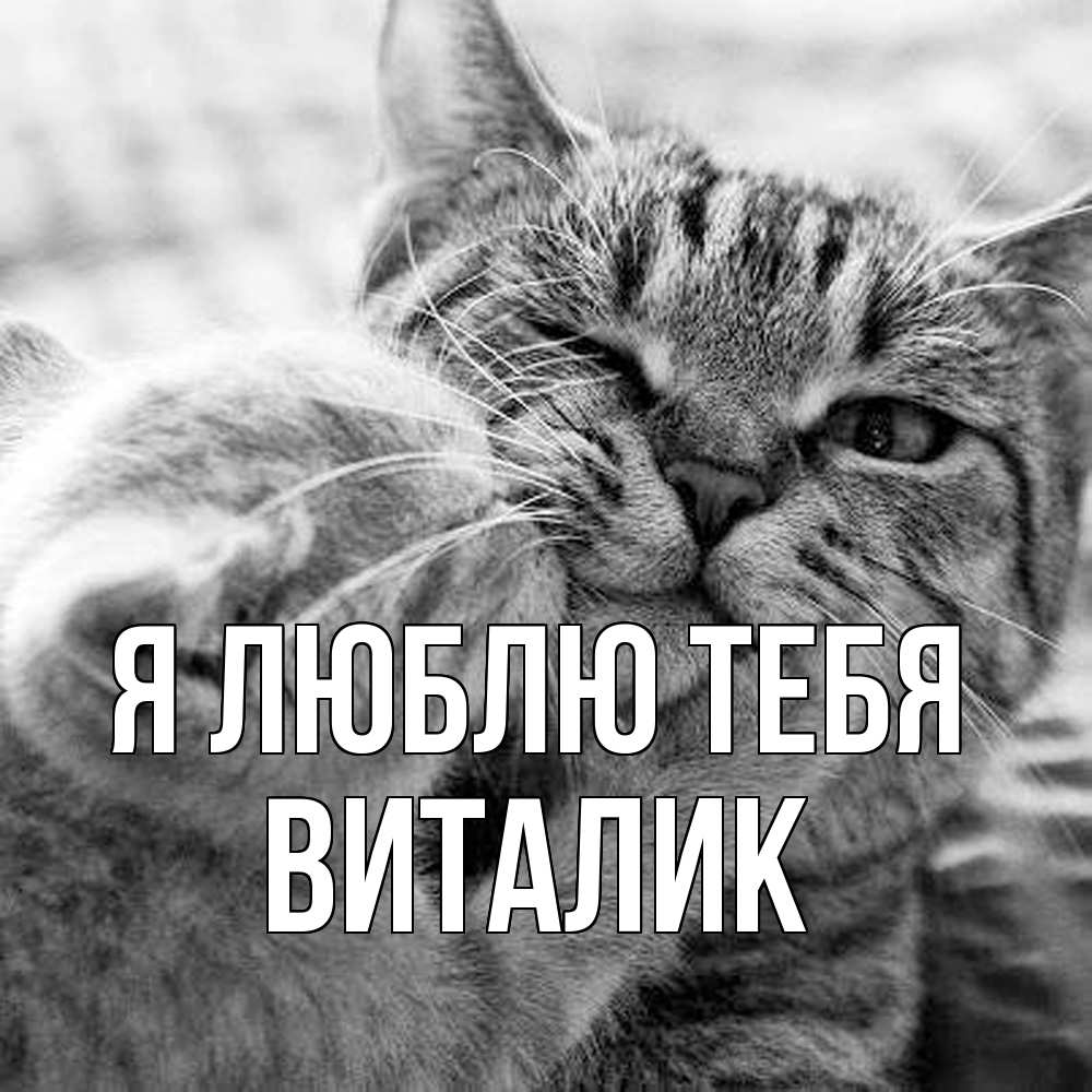Открытка  с именем. Виталик, Я люблю тебя  