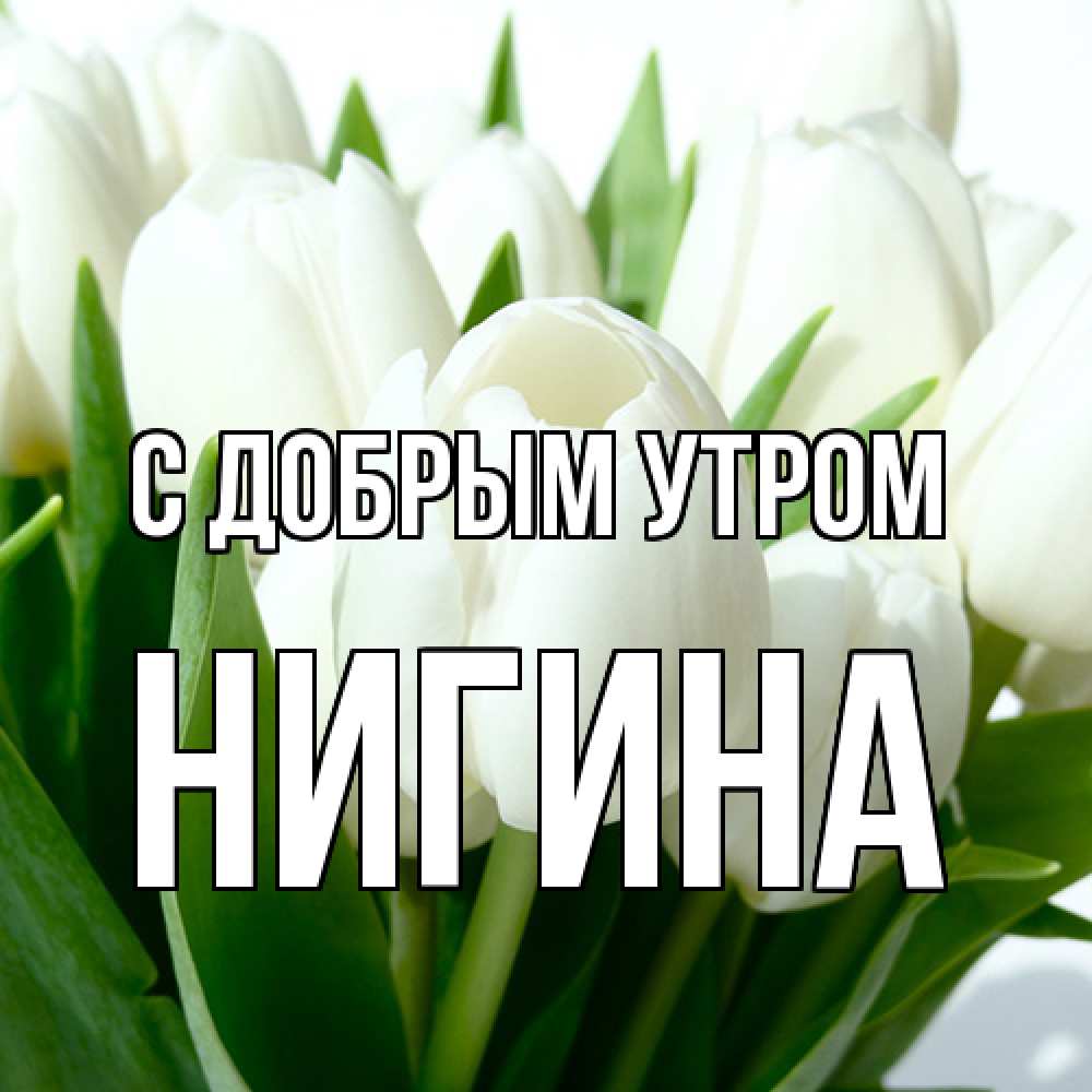 Открытка  с именем. Нигина, С добрым утром  