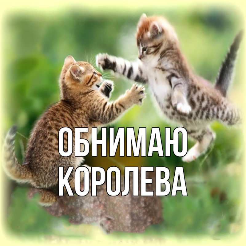 Картинка Обнимаю, Королева