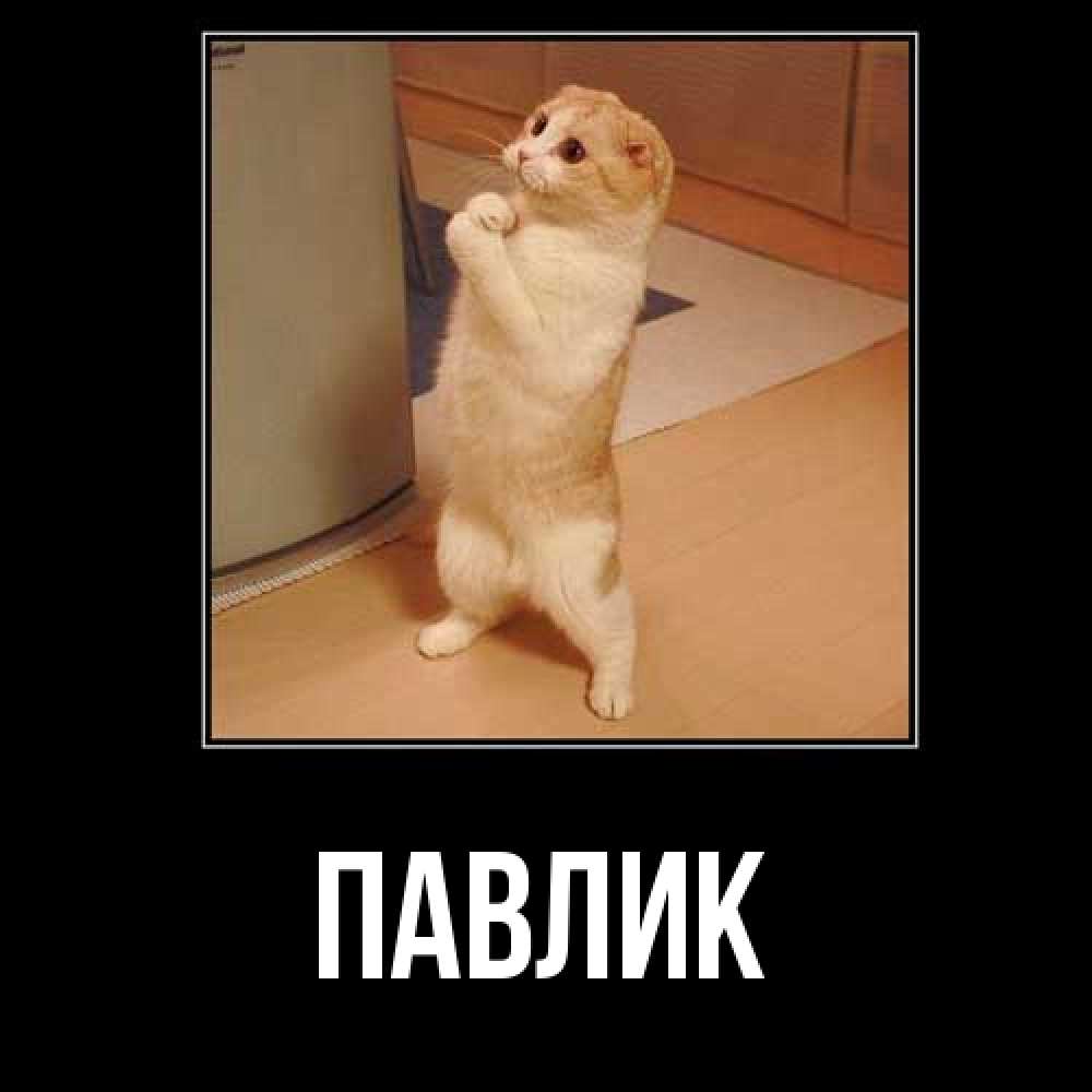 Открытка  с именем. Павлик, Главная  