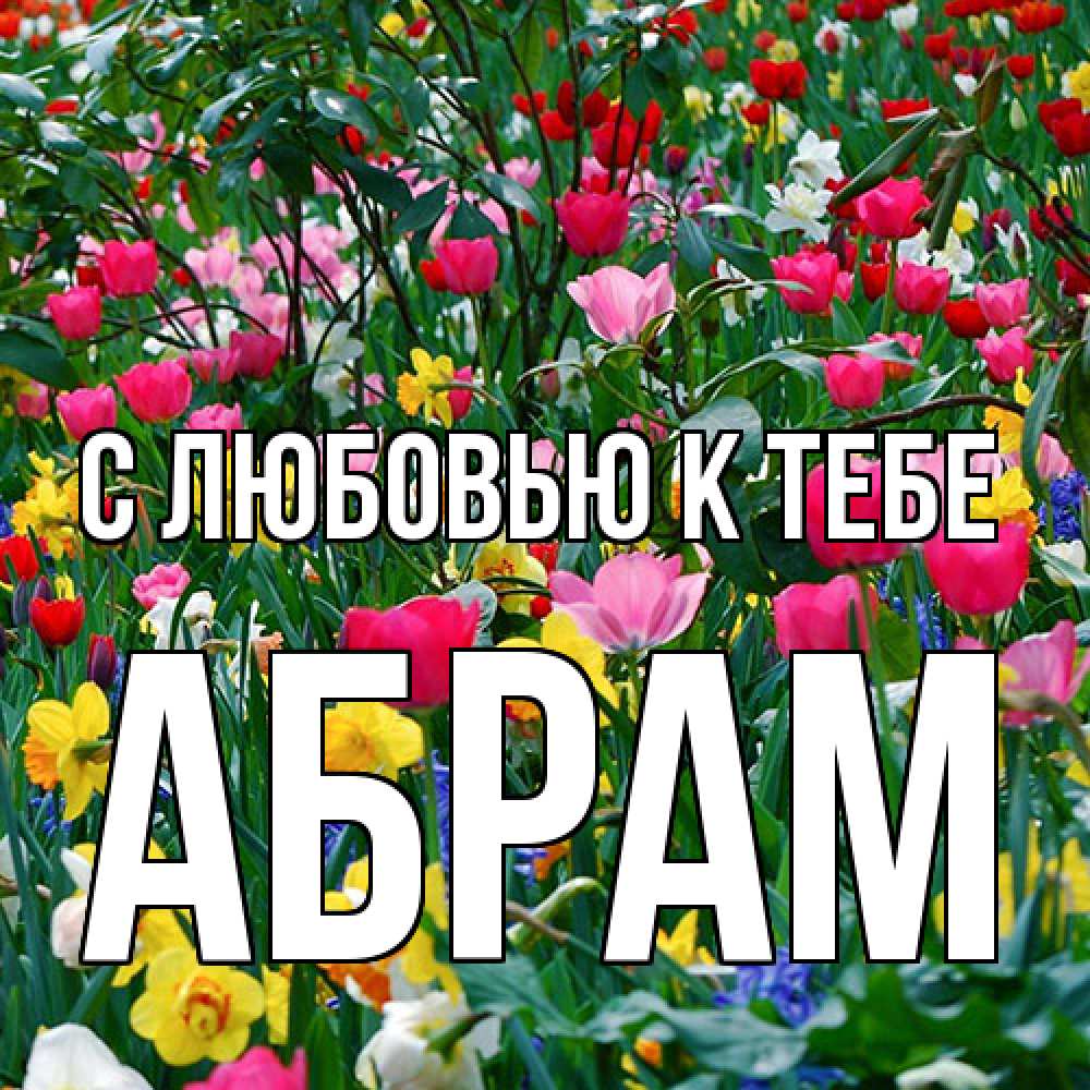 Открытка  с именем. Абрам, С любовью к тебе  