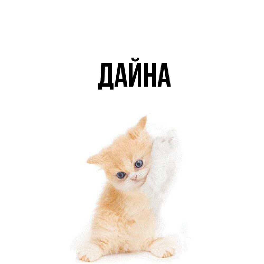 Открытка  с именем. Дайна, Главная  