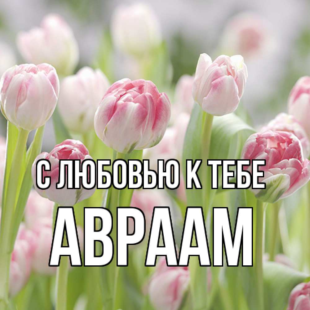 Открытка  с именем. Авраам, С любовью к тебе  