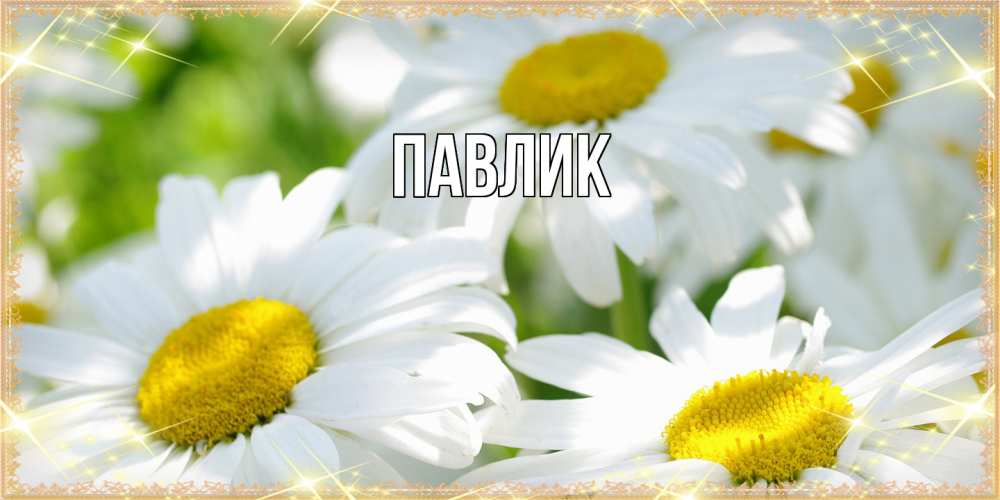 Открытка  с именем. Павлик, Главная  