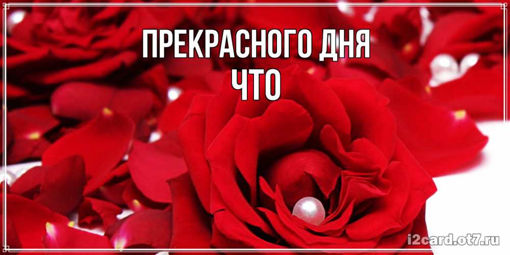 Открытка  с именем. Что, Прекрасного дня  