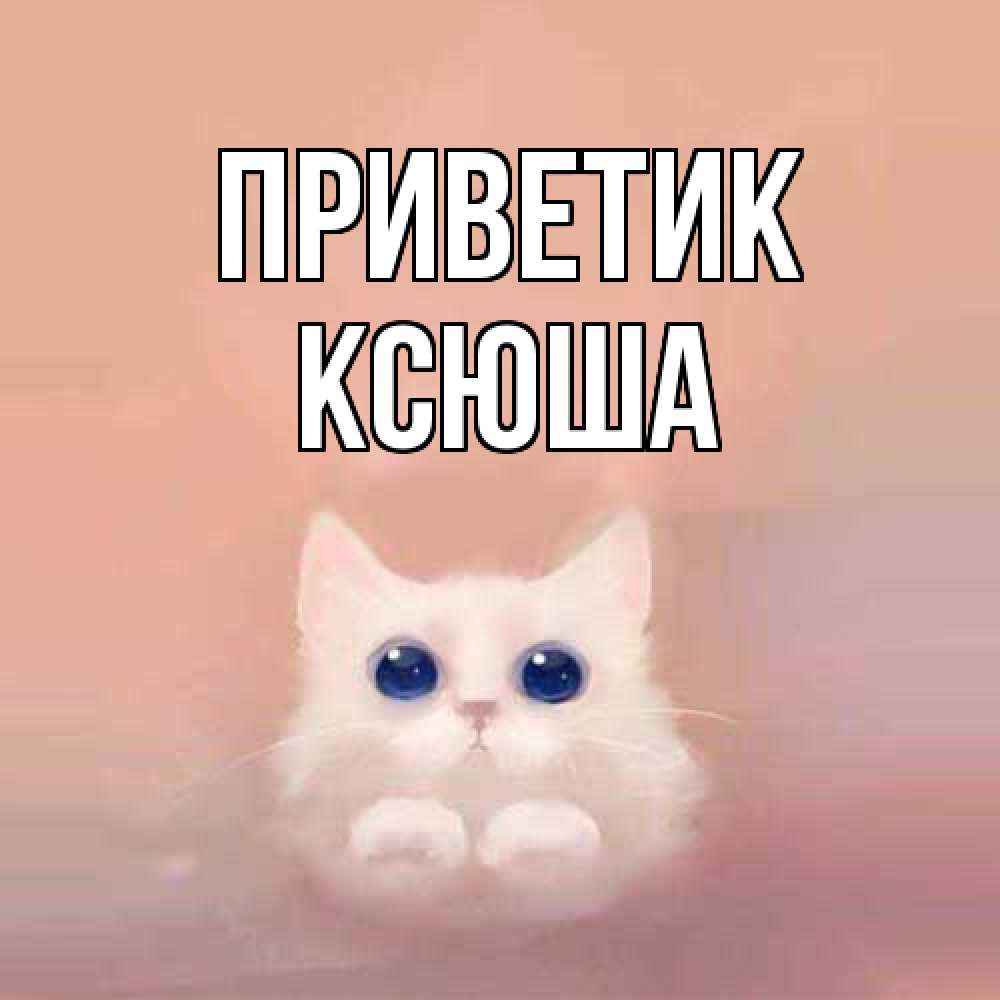 Открытка  с именем. Ксюша, приветик  