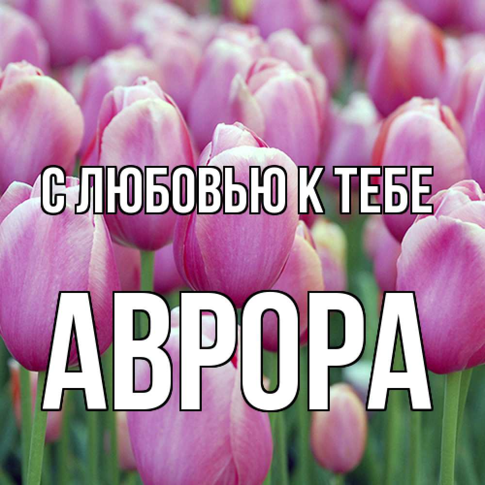 Открытка  с именем. Аврора, С любовью к тебе  