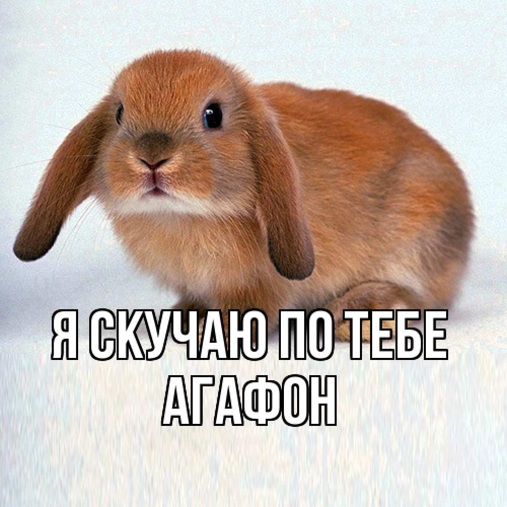 Открытка  с именем. Агафон, Я скучаю по тебе  