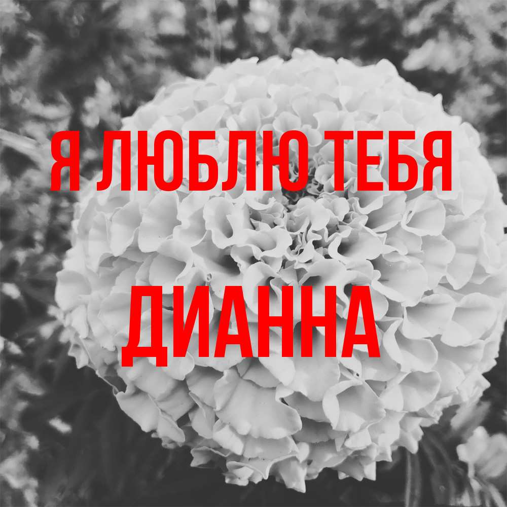 Открытка  с именем. Дианна, Я люблю тебя  