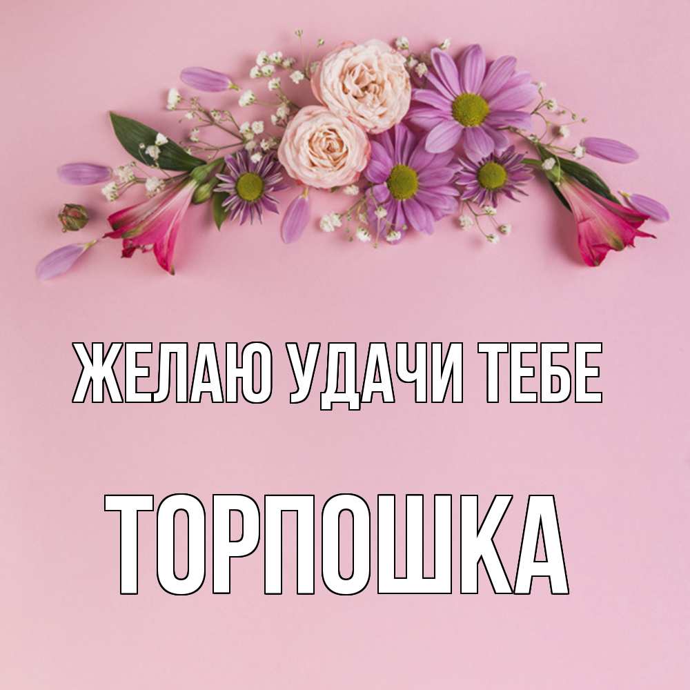 Открытка  с именем. торпошка, Желаю удачи тебе  