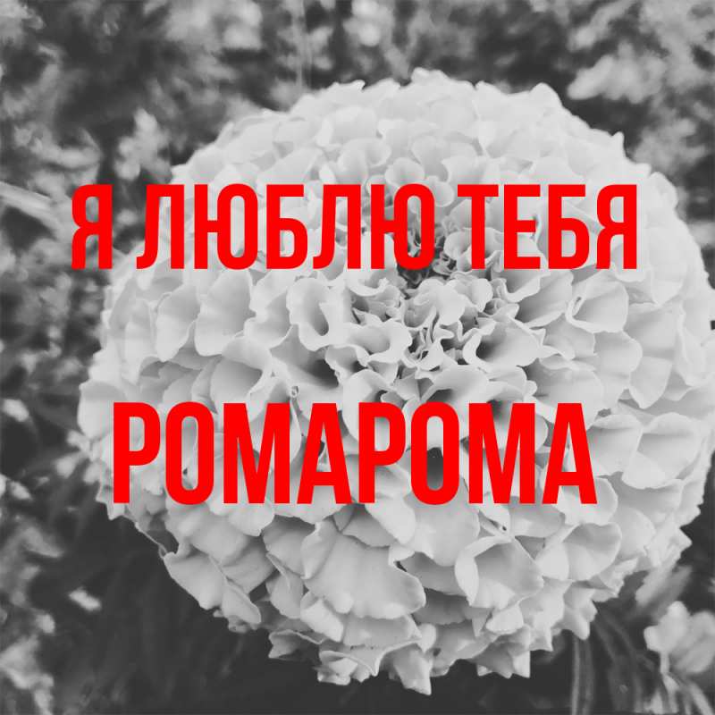 Картинка Я люблю тебя, РомаРома