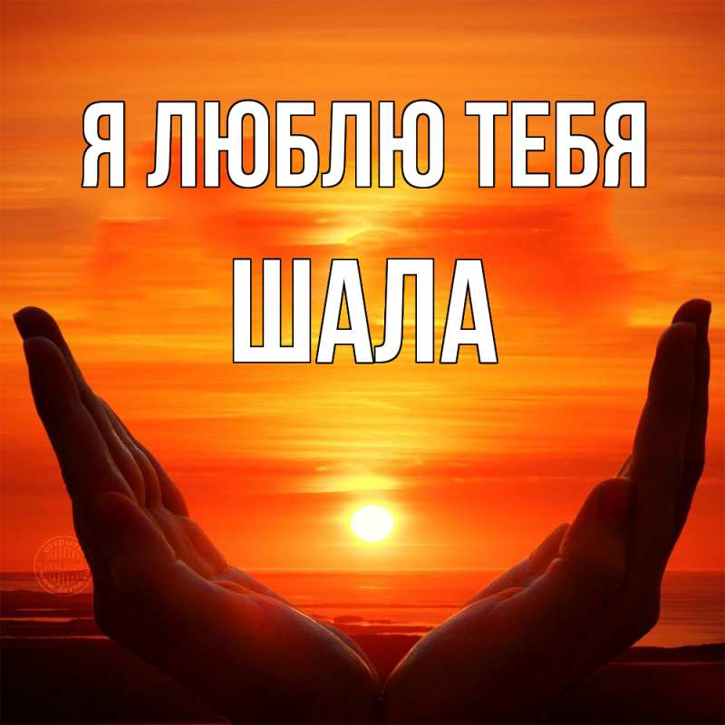 Картинка Я люблю тебя, Шала