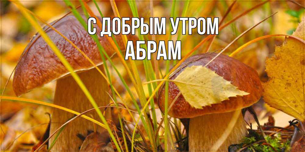 Открытка  с именем. Абрам, С добрым утром  