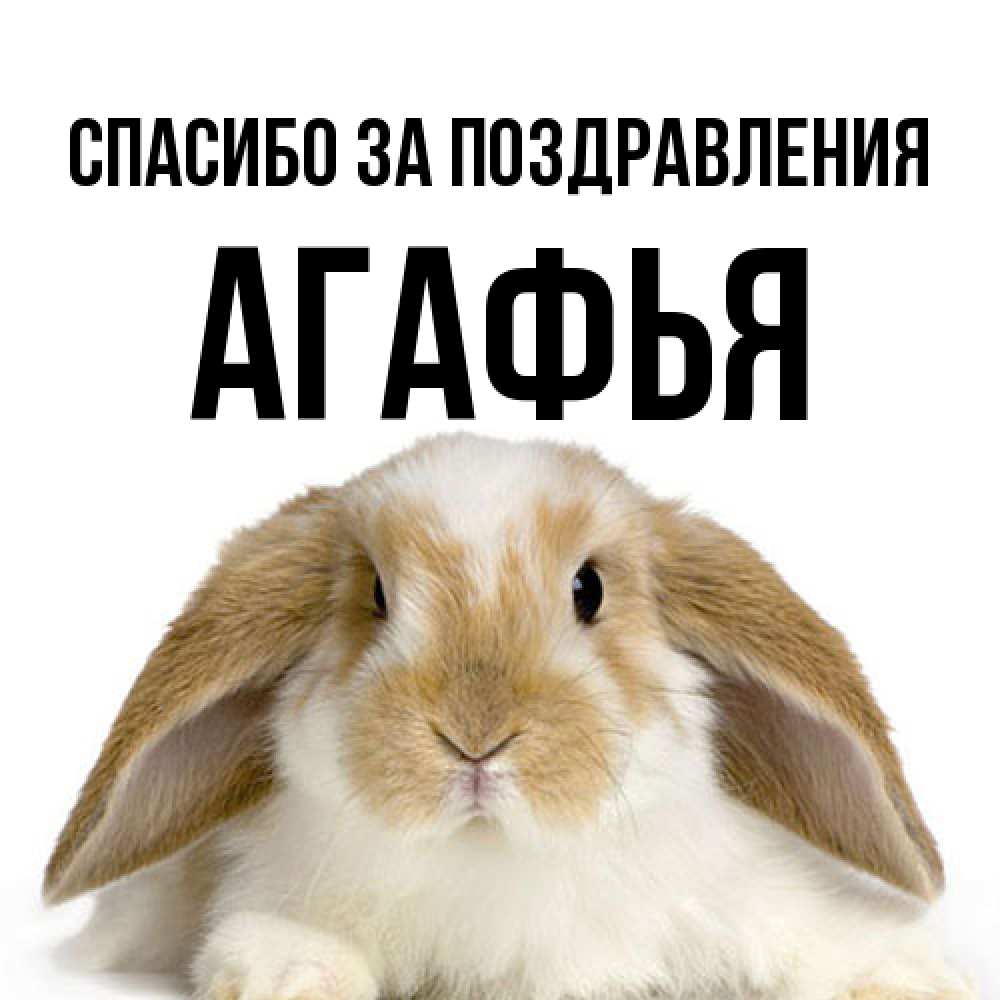 Открытка  с именем. Агафья, Спасибо за поздравления  