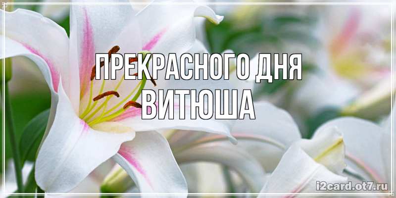 Картинка Прекрасного дня, Витюша
