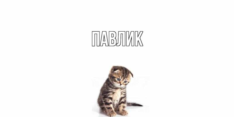 Картинка  с именем , Павлик