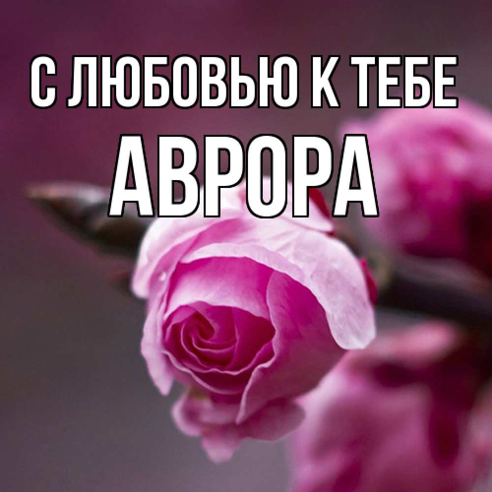 Открытка  с именем. Аврора, С любовью к тебе  
