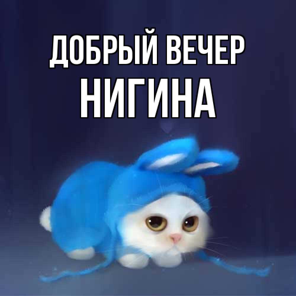 Открытка  с именем. Нигина, Добрый вечер  