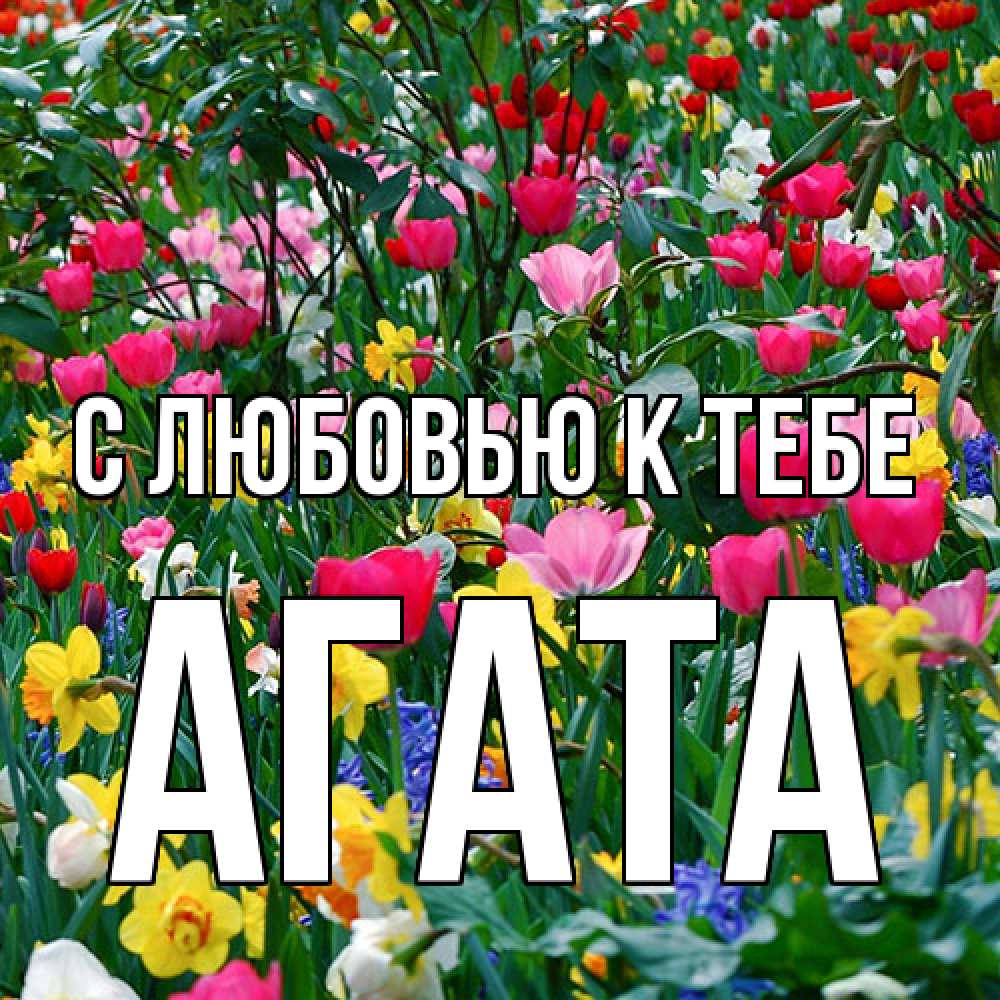 Открытка  с именем. Агата, С любовью к тебе  